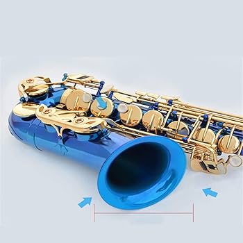 Amazon.co.jp: サックス アルトEフラットサックス初心者サックス